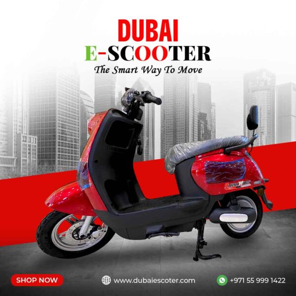 Electric Scooter Model GW02 - 48V 20Ah