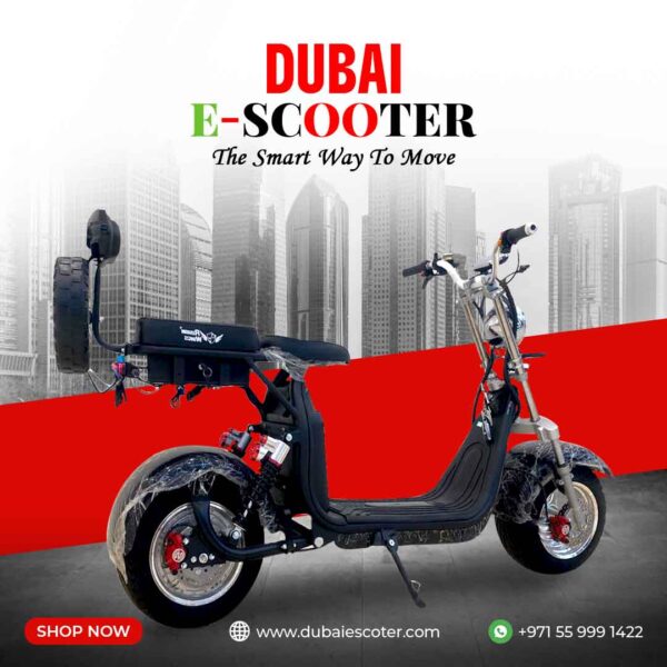 Harley X10A Electric Scooter – 2000W, 60V12Ah Battery