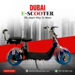 Electric Scooter Harley X-10B