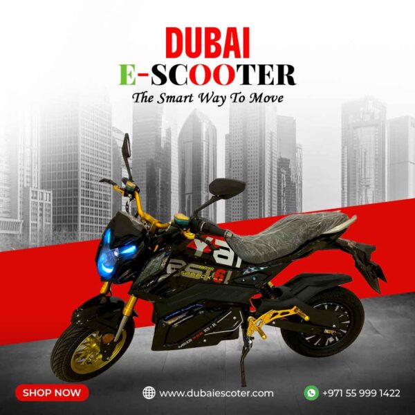RS2 High-Performance Electric Bike with 3000W Brushless Motor and 72V Battery
