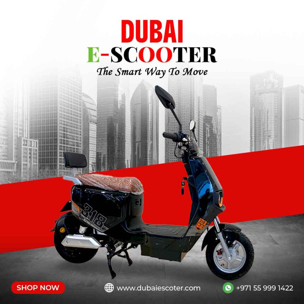 B01 Electric Scooter – 600W Motor, 48V20Ah Battery, 100KM Range