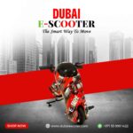 DT-A Electric Drift Scooter for Kids – 36V 250W with LT Battery